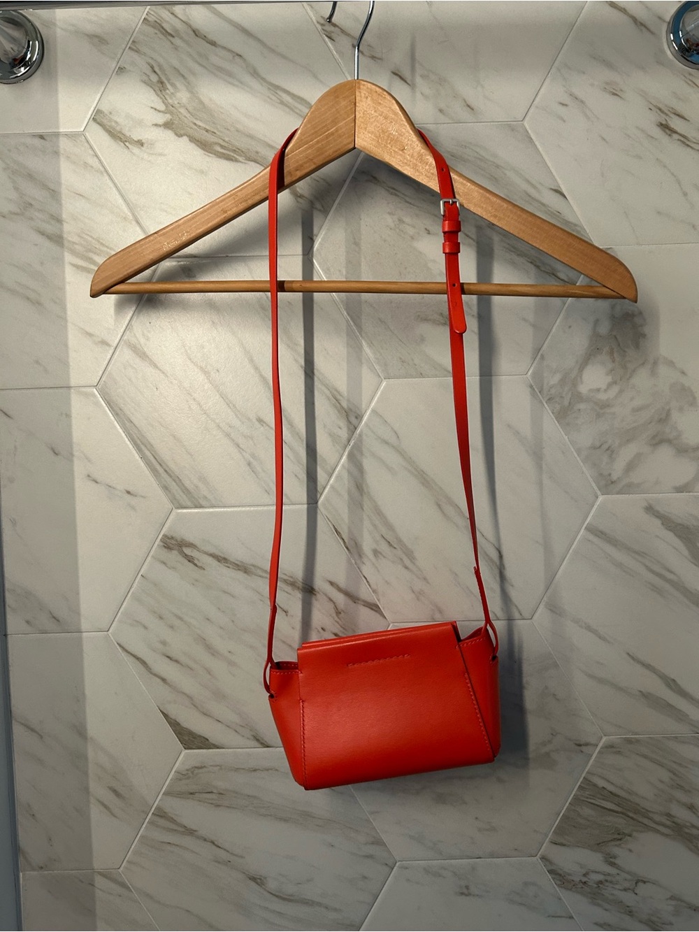 Everlane Micro Crossbody Leather Bag
